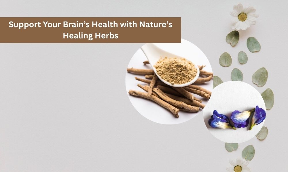 Ayurvedic Herbs for brain health