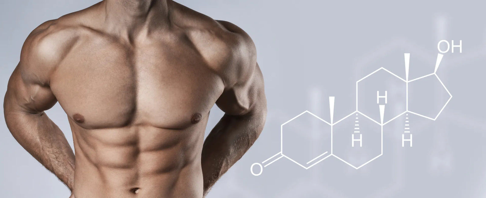Testosterone Boosters