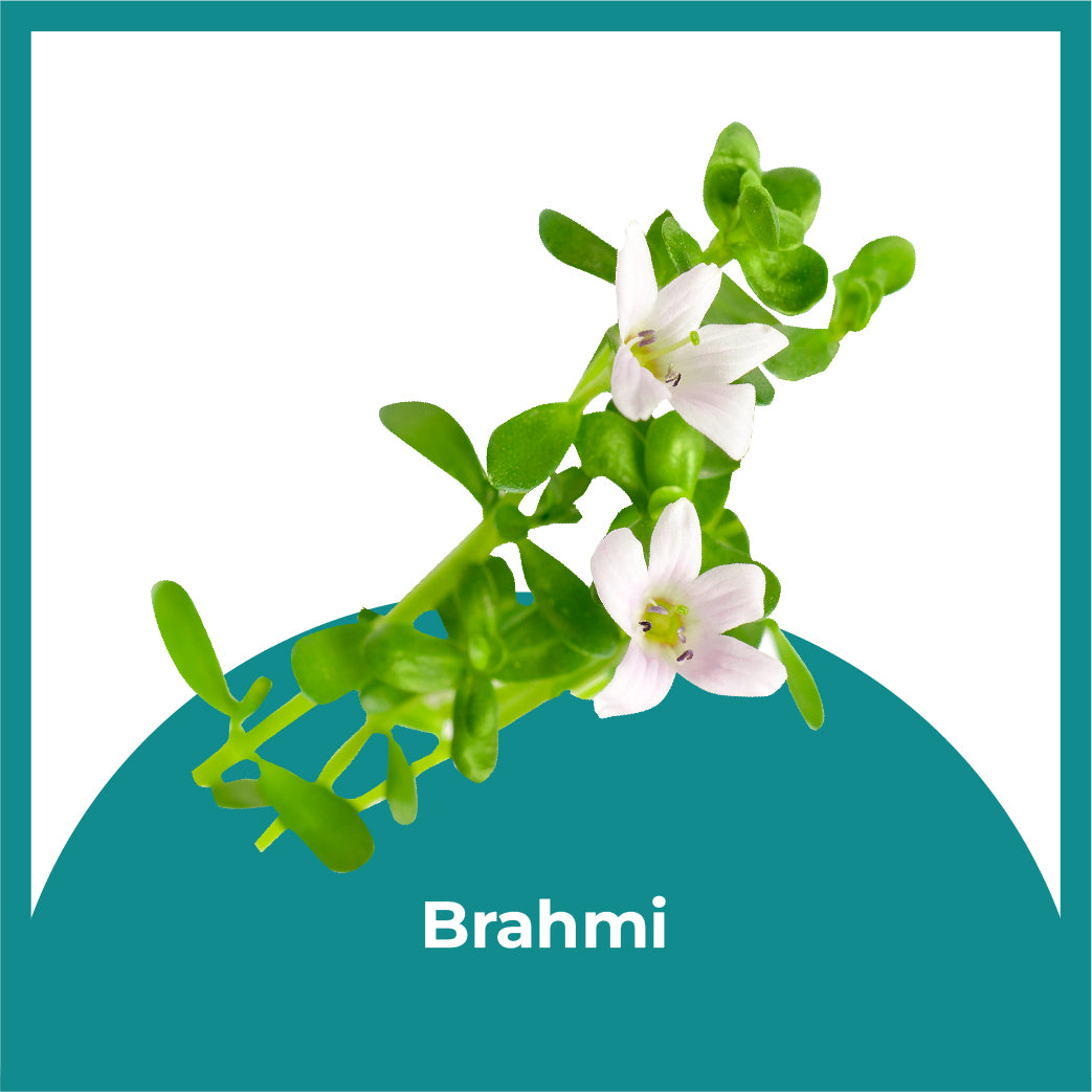 Ingredient Image