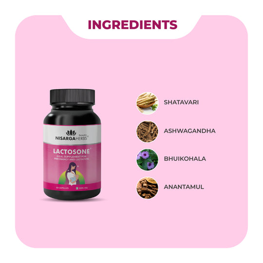 Lactosone - Ayurvedic lactation supplement for healthier pregnancy