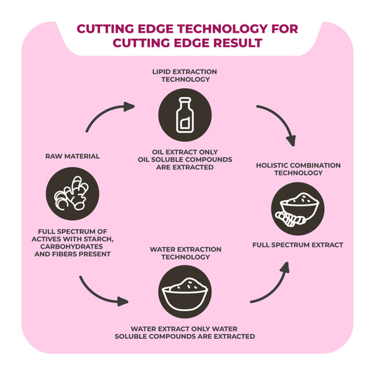 Lactosone - Ayurvedic lactation supplement for healthier pregnancy