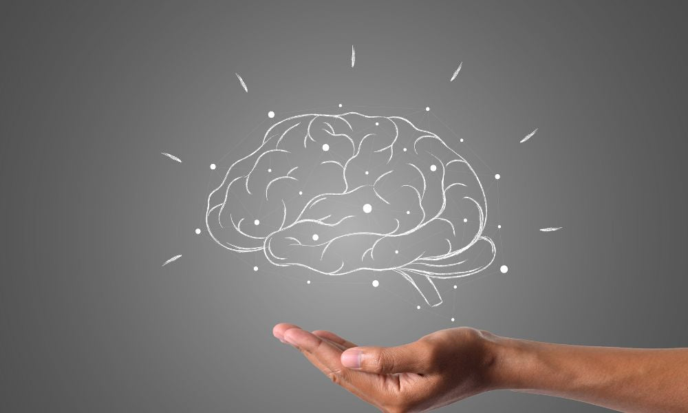 Brahmi vs Shankhpushpi: Which Is Better for Brain Health?