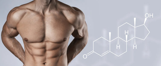 Testosterone Boosters