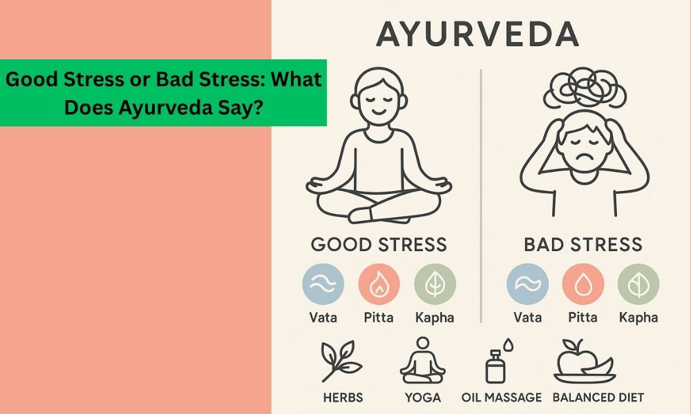 Good Stress vs Bad Stress: What Ayurveda Teaches About Managing Stress the Right Way