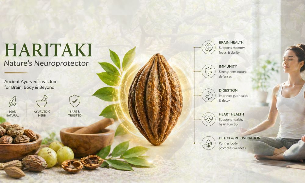 Haritaki The Ancient  King of Medicines Your Brain & Gut Have Been Waiting For