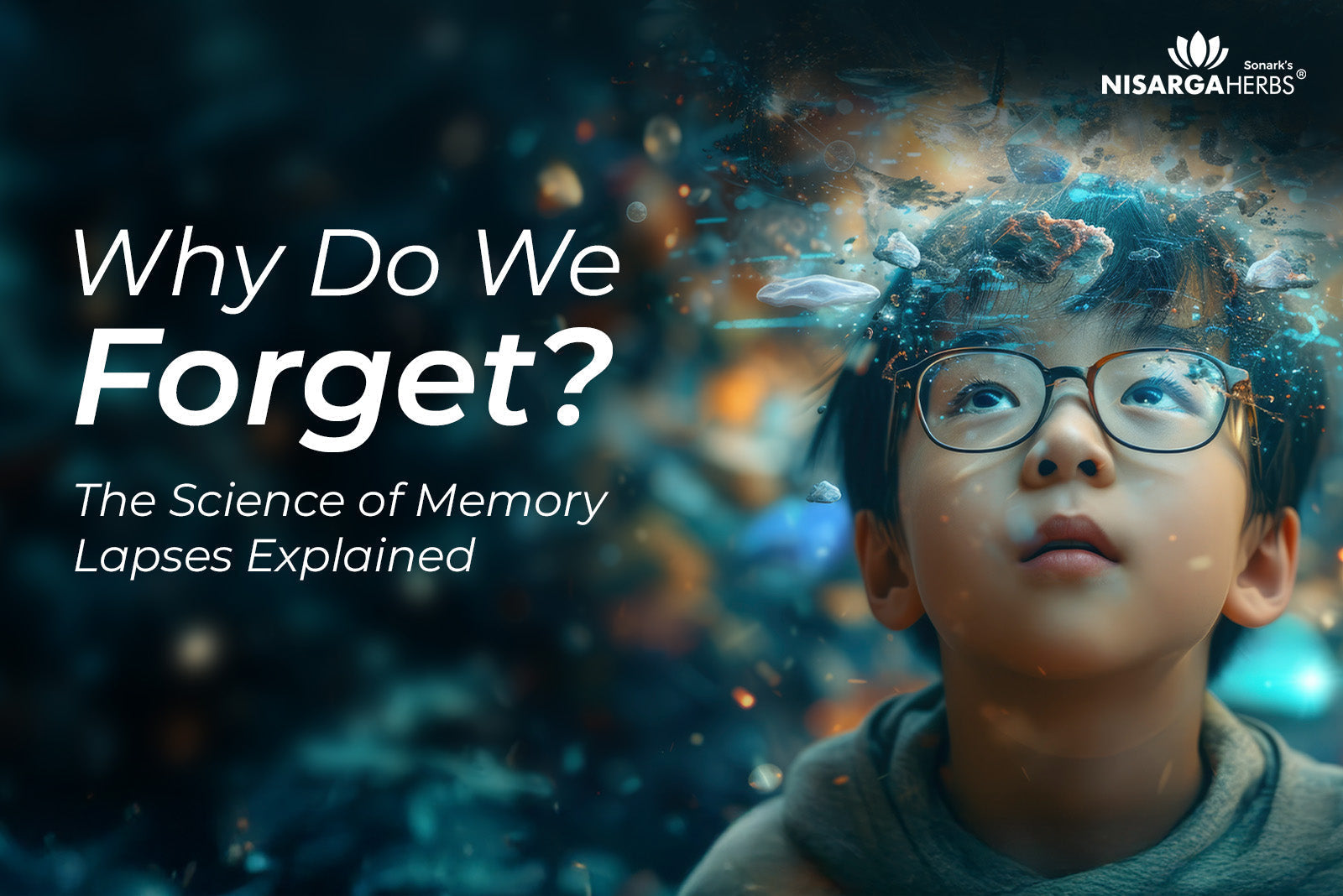 Why Do We Forget? The Science of Memory Lapses Explained