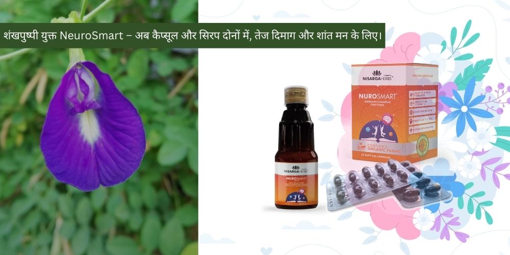 शंखपुष्पी के फायदे ( Shakhpushpi Benefits)