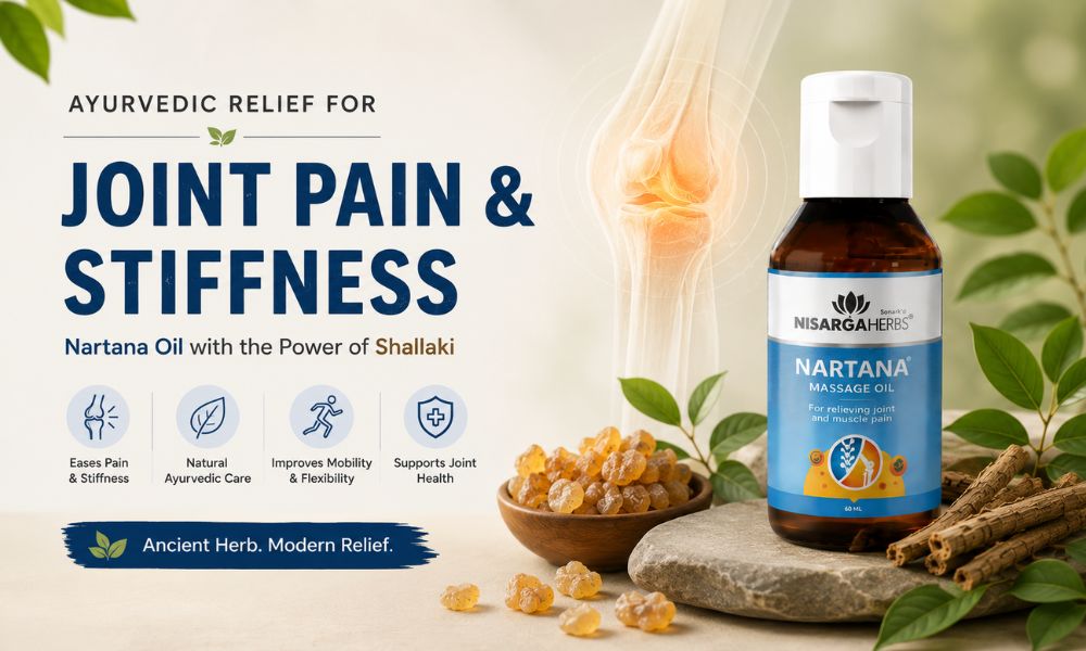 Shallaki Benefits The Ayurvedic Herb for Joint Pain Relief 