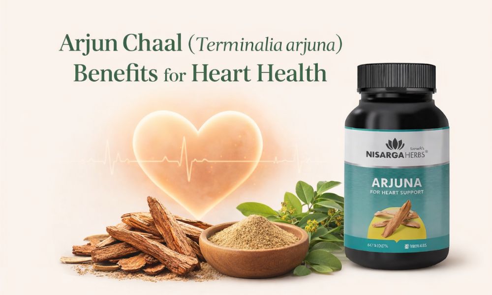 Arjun Chaal Benefits Ayurvedic Heart Tonic, Uses, and Side Effects