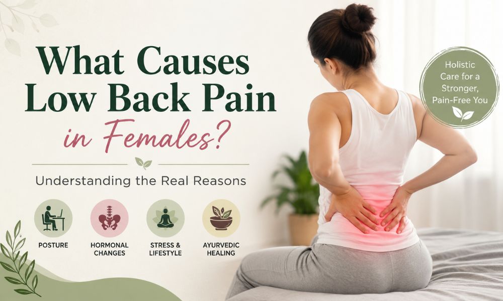 What Causes Low Back Pain in Females? Understanding the Real Reasons