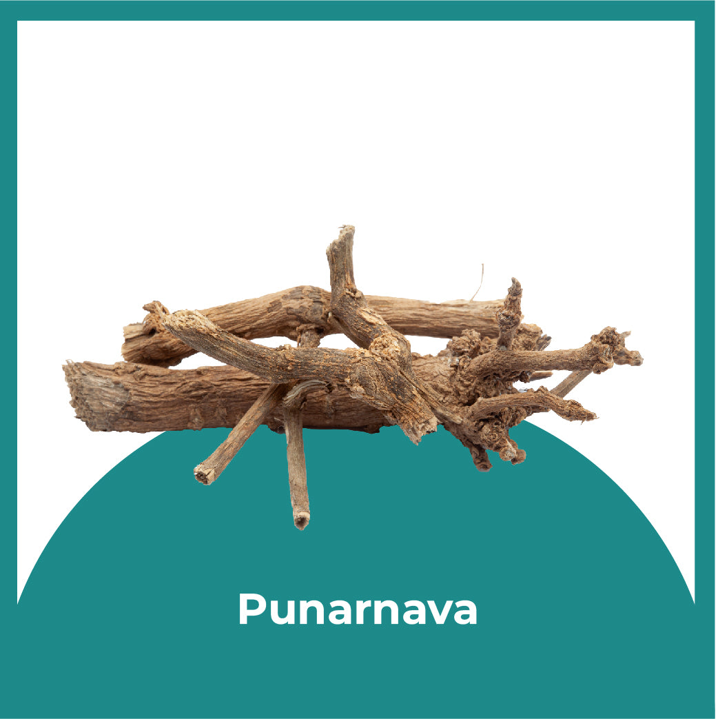 Ingredient Image
