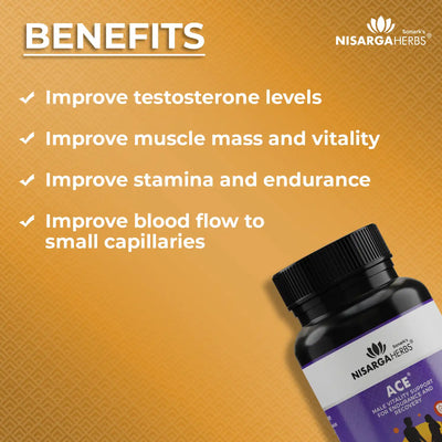 benefits of Ace including increased testosterone levels, improved muscle mass and recovery, increased stamina and endurance. increased blood flow in small capillaries
