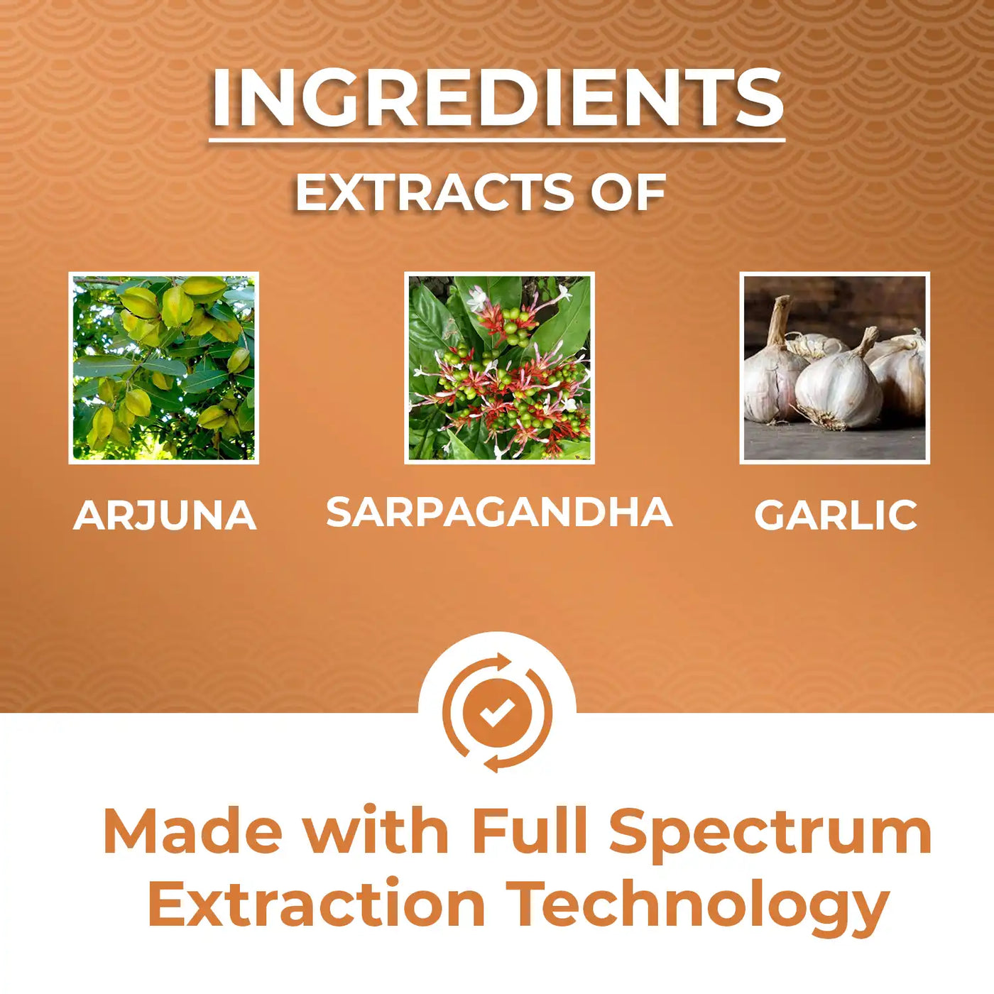 ayurvedic medicine made with arjuna, sarpagandha and garlic extracts.