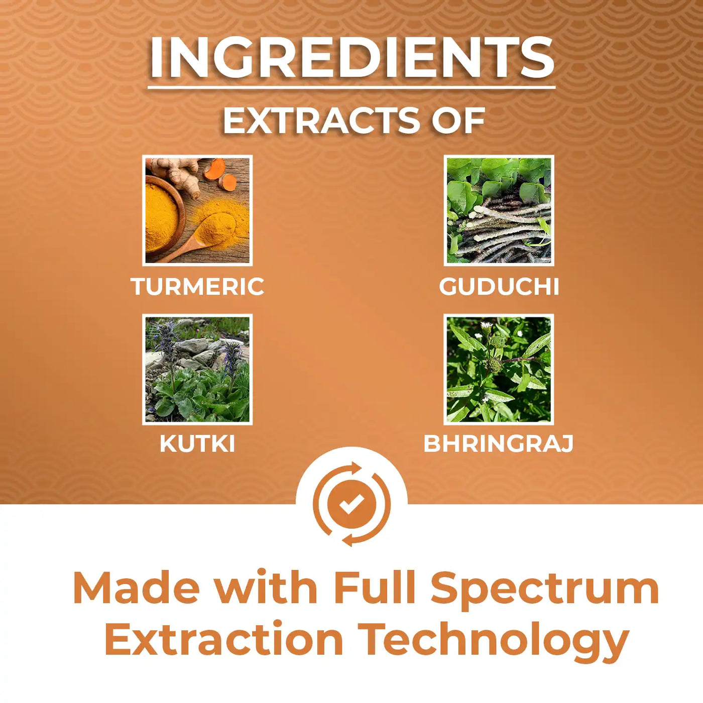 made with powerful ayurvedic extracts of turmeric, guduchi, kutki and bhringaraj. 
