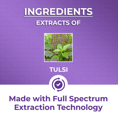 potent ayurvedic tulsi extract in concentrated form. 