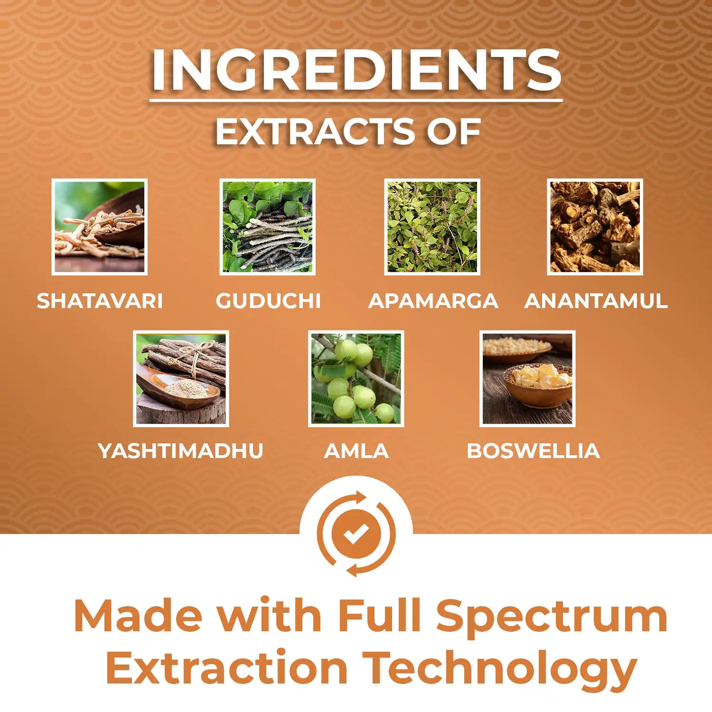 made with powerful ayurvedic extracts of shatavari, guduchi, apamarga, anatmul, amla, boswellia and licorice. 