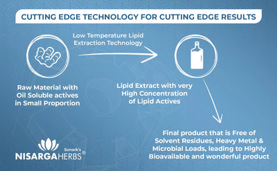cutting edge lipid extraction technology for concentrated ayurvedic extracts for a concentrated and potent active dose of natural ingredients 