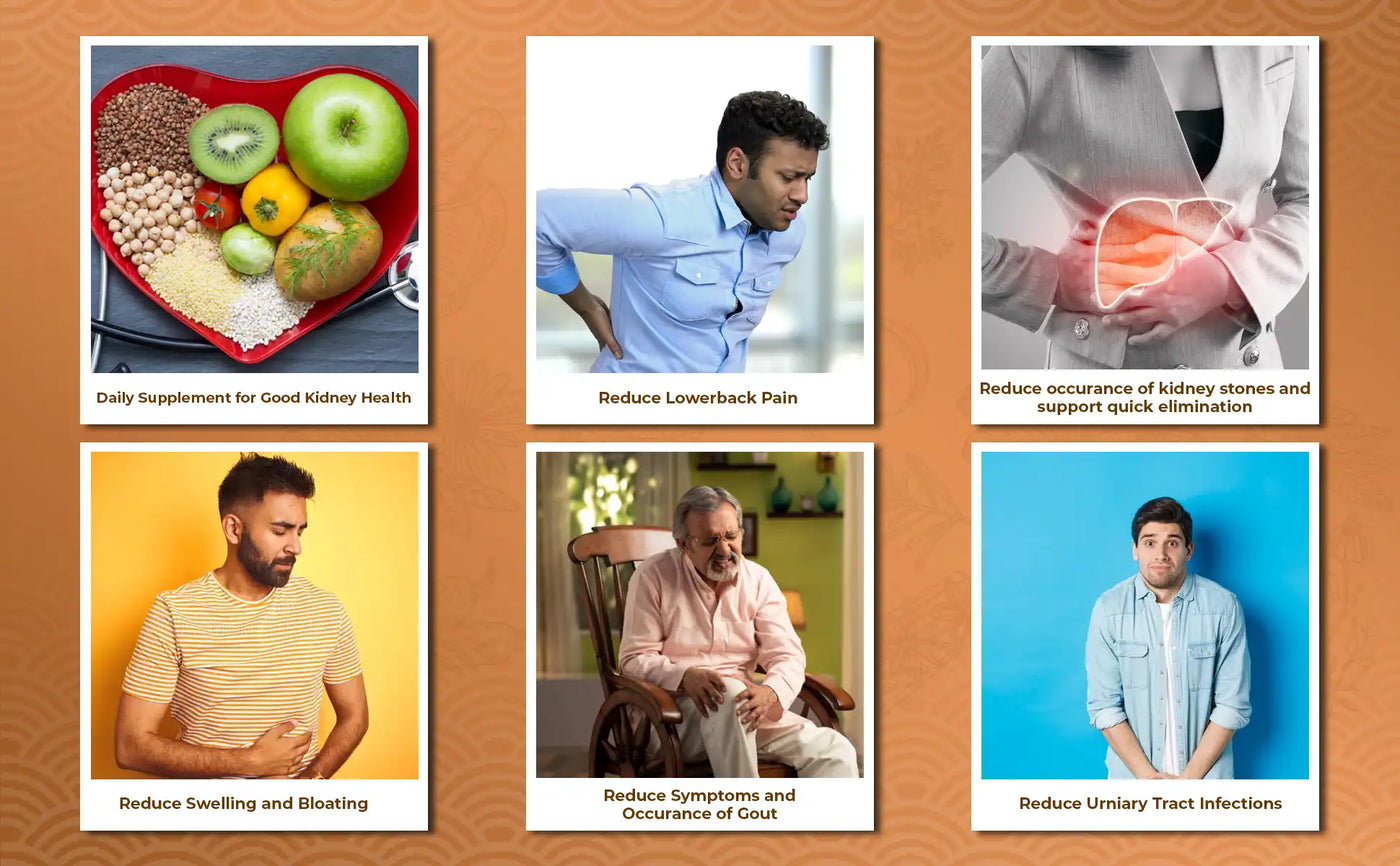collage of 6 photos showing benefits of urosone in kidney health. 