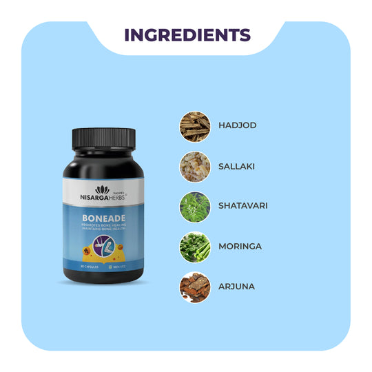 Boneade Capsule - Ayurvedic capsules to accelerate bone repair and promote bone health