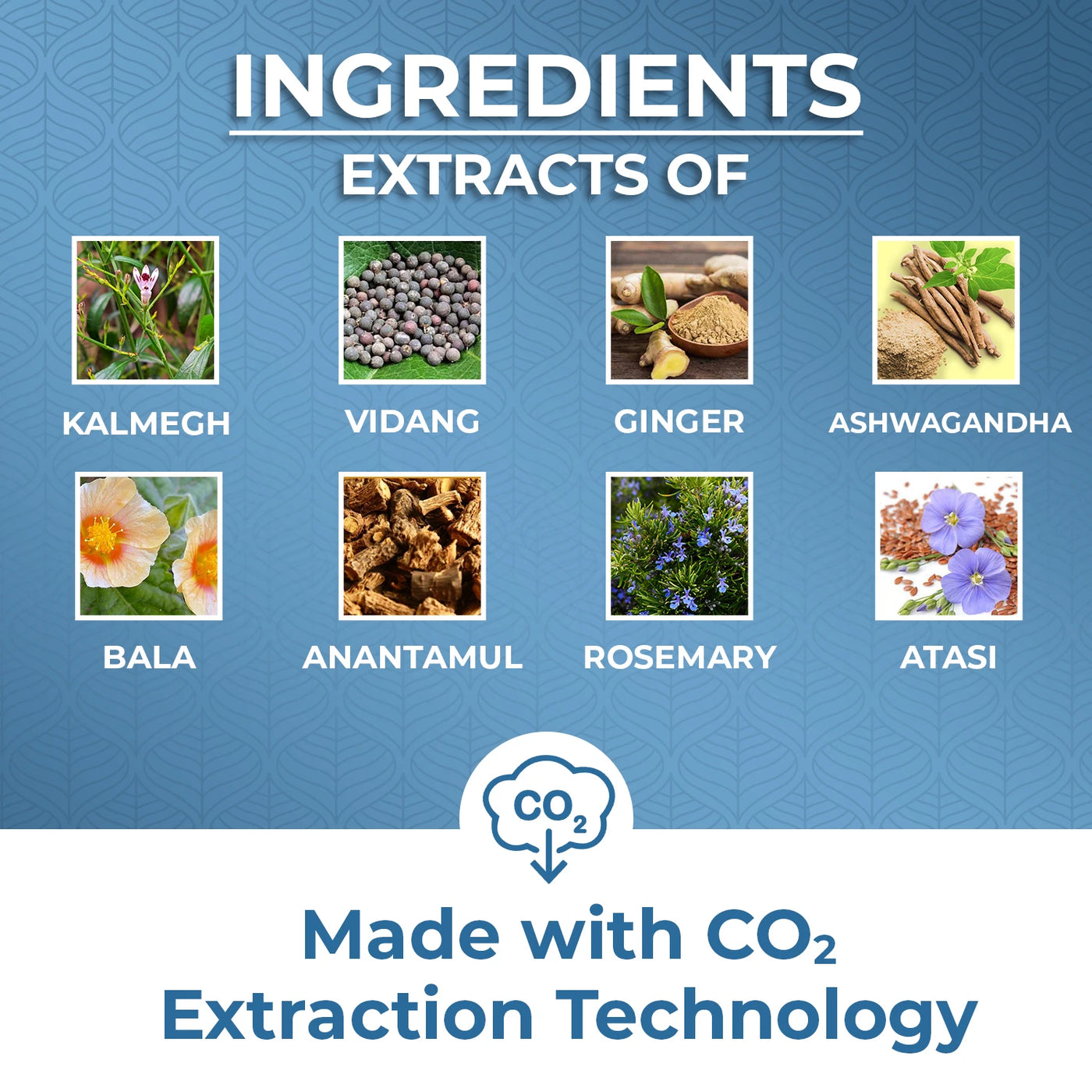 Ingredients of Nisarga herbs Imutizer Syrup