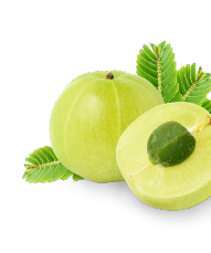 Amla Image